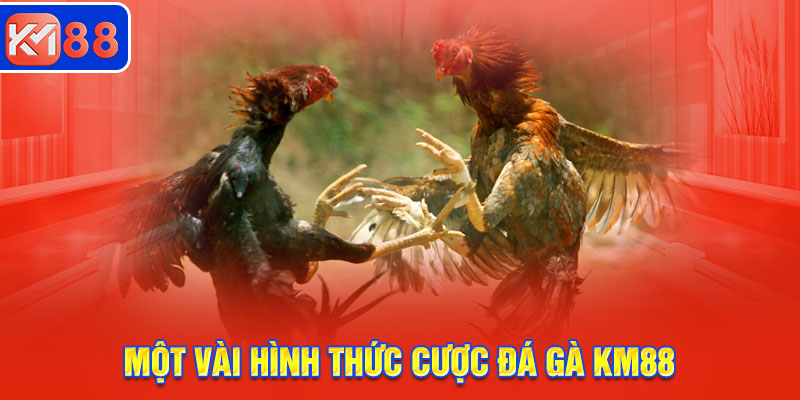 Một vài hình thức cược đá gà KM88 quen thuộc