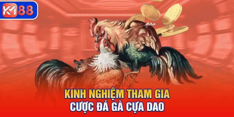 Một số kinh nghiệm tham gia cược đá gà cựa dao