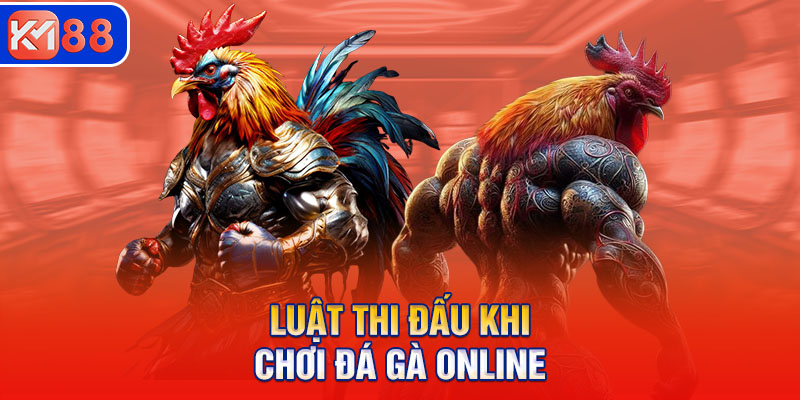 Luật thi đấu khi chơi đá gà online