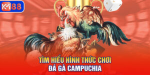 Tìm hiểu hình thức chơi đá gà Campuchia